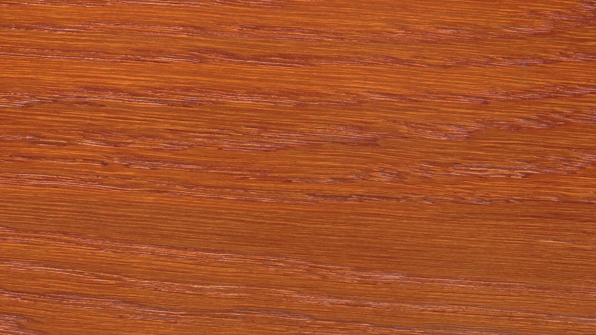 colorwood 21_57b7366bcab94